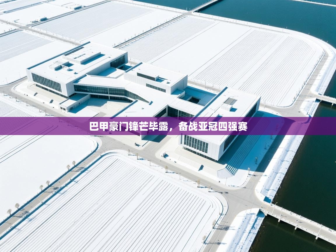 巴甲豪门锋芒毕露，备战亚冠四强赛  第1张