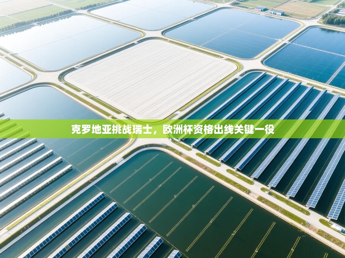 克罗地亚挑战瑞士，欧洲杯资格出线关键一役  第1张