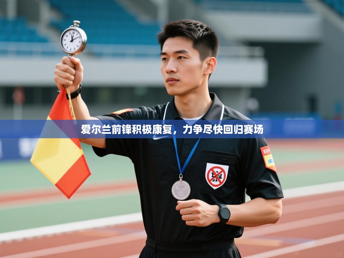 爱尔兰前锋积极康复，力争尽快回归赛场  第2张