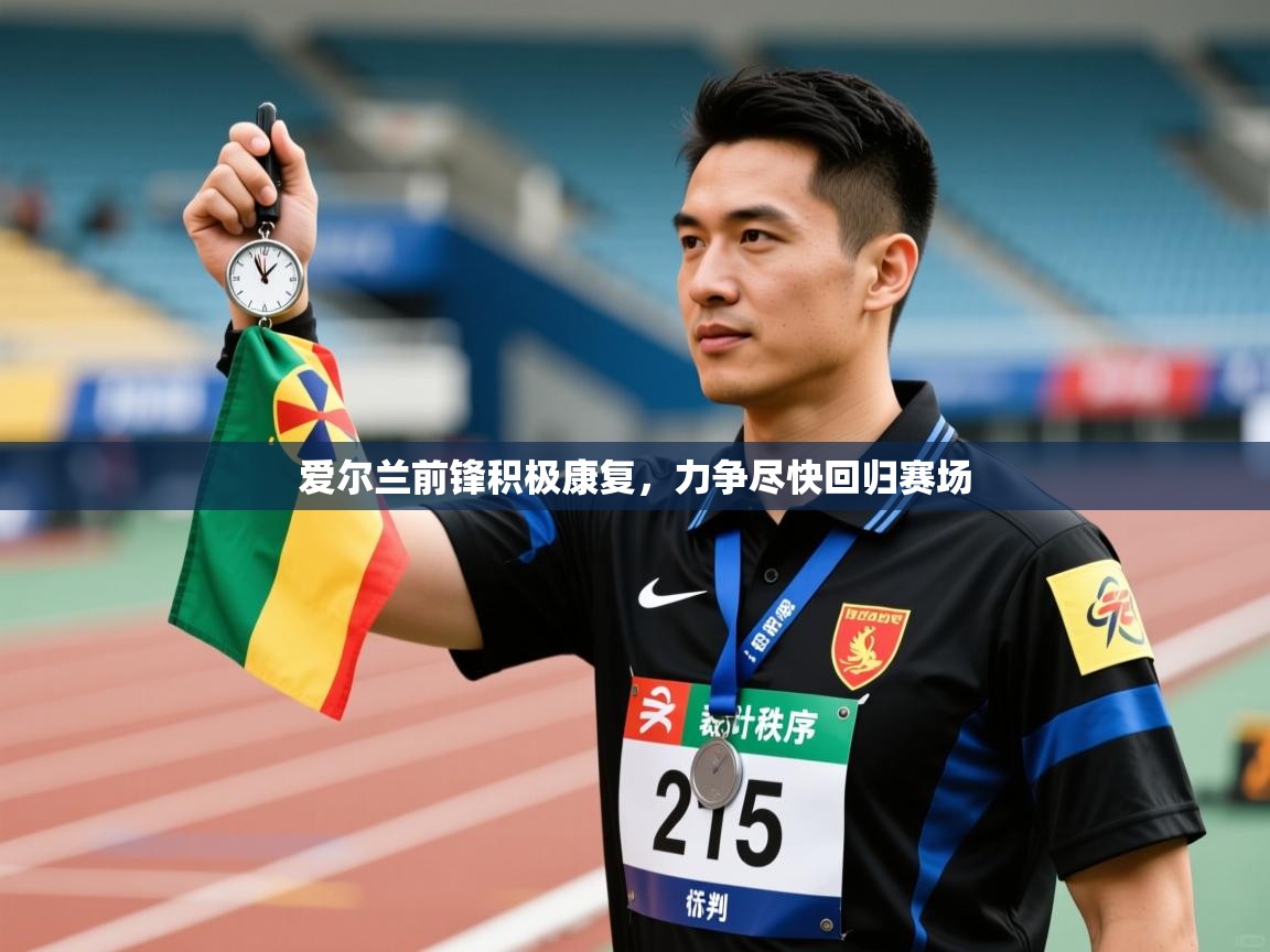 爱尔兰前锋积极康复，力争尽快回归赛场  第1张