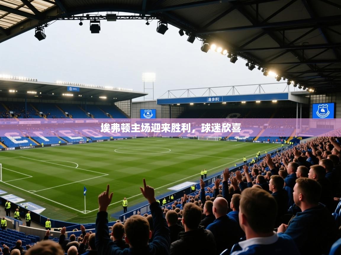 埃弗顿主场迎来胜利,球迷欣喜 第2张